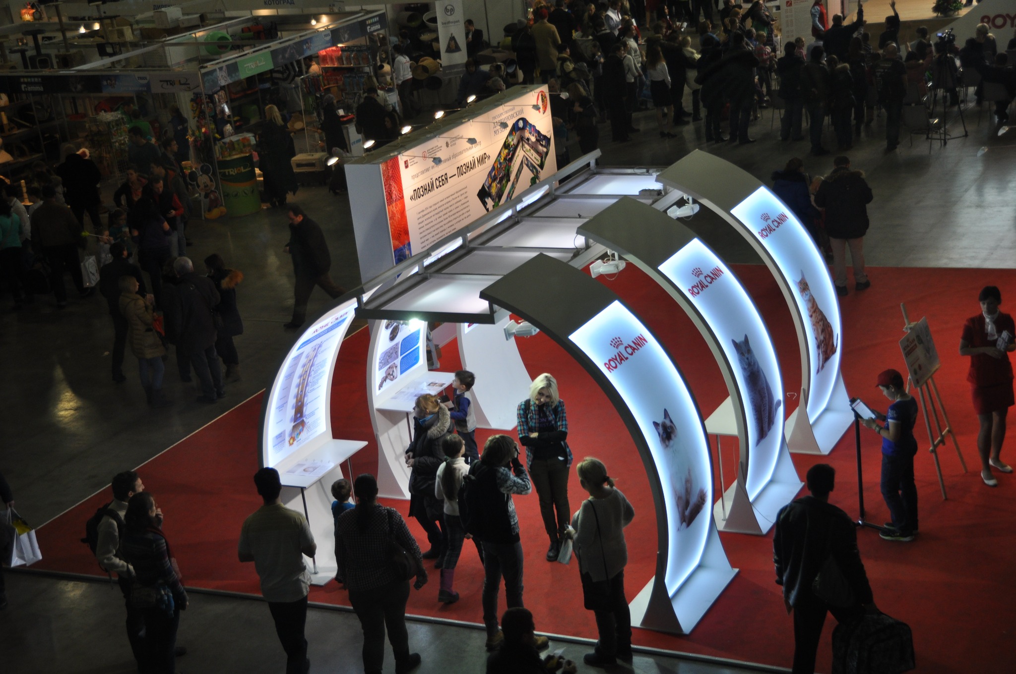 В Москве прошла «ГРАН-ПРИ ROYAL CANIN – 2014»